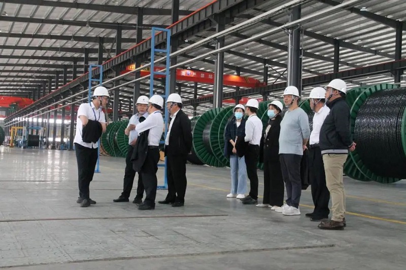 黄瓜小视频网站電纜有限公司,黄瓜小视频网站電纜,湖南黄瓜小视频网站，