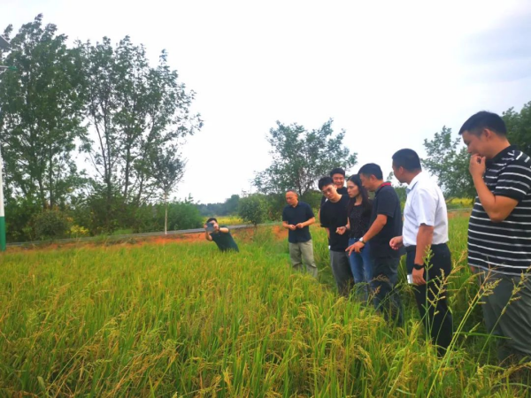 黄瓜小视频网站電纜有限公司,黄瓜小视频网站電纜,湖南黄瓜小视频网站，